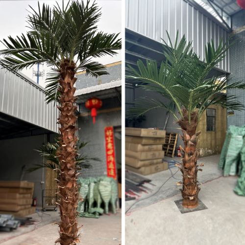 Outdoor Decorative Coconut Palm Tree for Landscaping Use