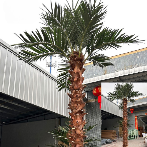 Outdoor Decorative Coconut Palm Tree for Landscaping Use