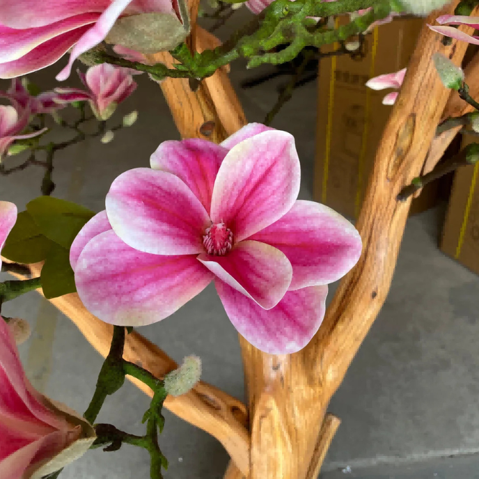 Artificial Cherry Blossom Magnolia Tree Vibrant Silk Petals Indoor Display