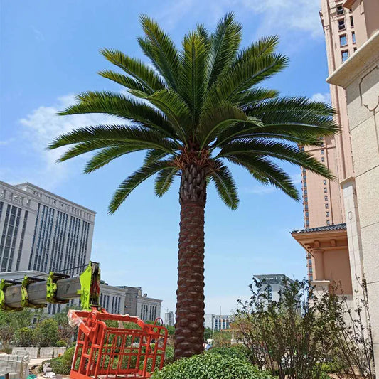 Artificial Date Palm Tree Lifespan Outdoor Use