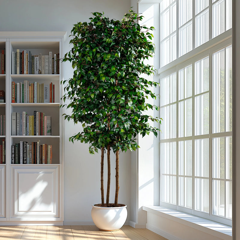 Artificial Fig Tree Natural Wood Trunk Indoor Display