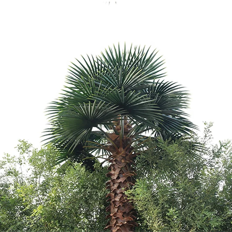 Artificial Washingtonia Palm Tree Fireproof Outdoor Use