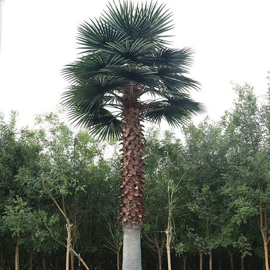 Artificial Washingtonia Palm Tree Fireproof Outdoor Use