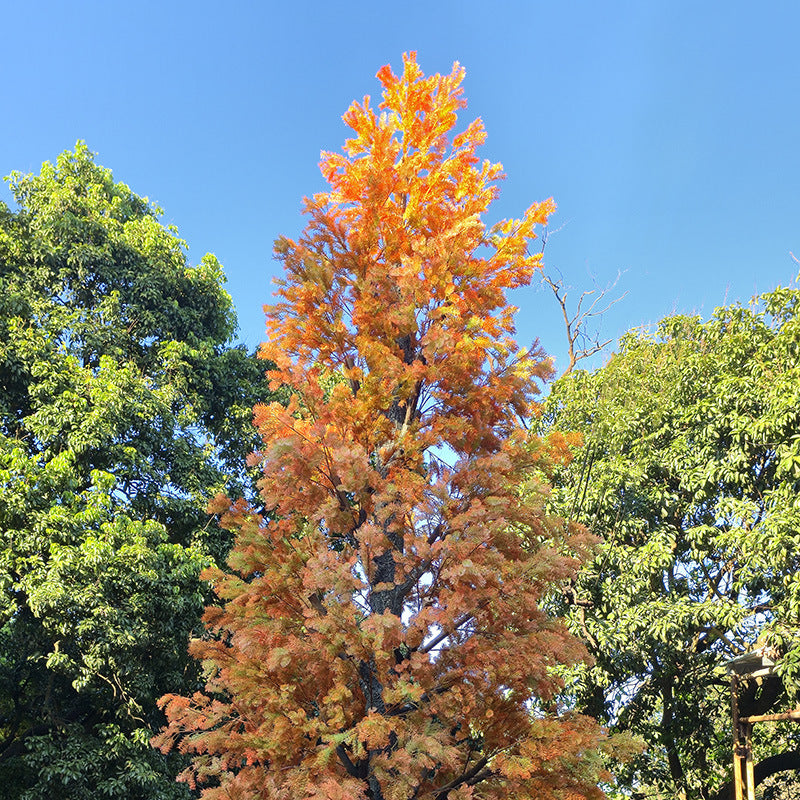 Artificial Cedar Tree Natural Wood Trunk For Hotel Use