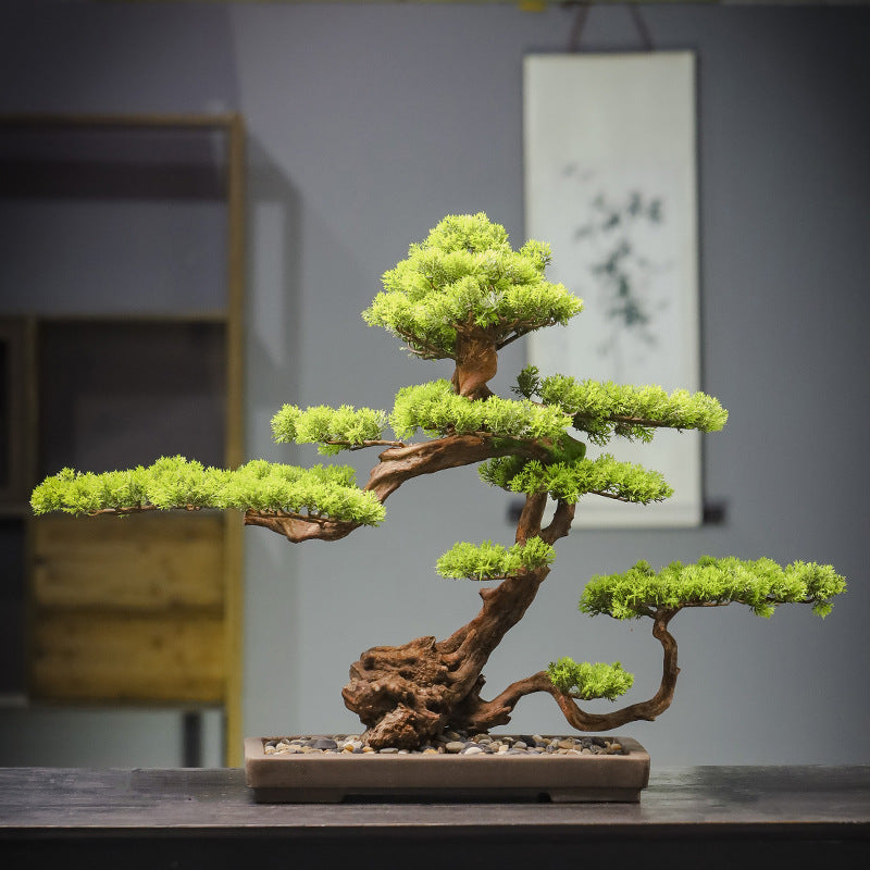 Artificial Pine Bonsai Tree for Decoration