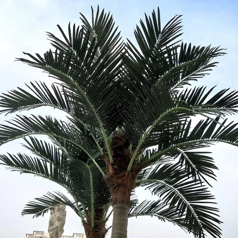 Artificial Coconut Palm Tree Eco-Friendly Fiberglass Indoor Outdoor