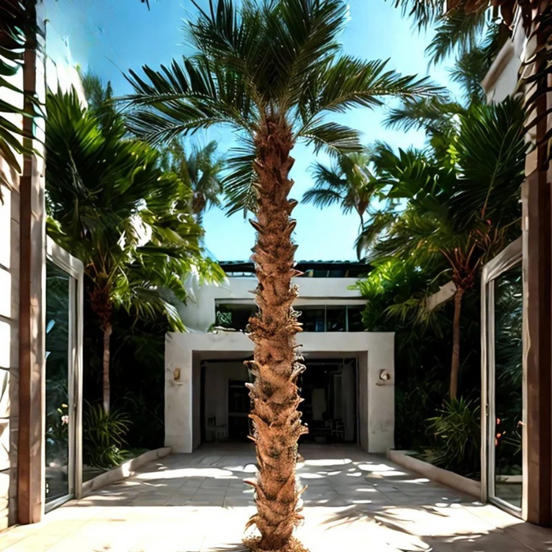 Artificial Palm Tree UV Resistant for Theme Park Hotel Lobby Decor