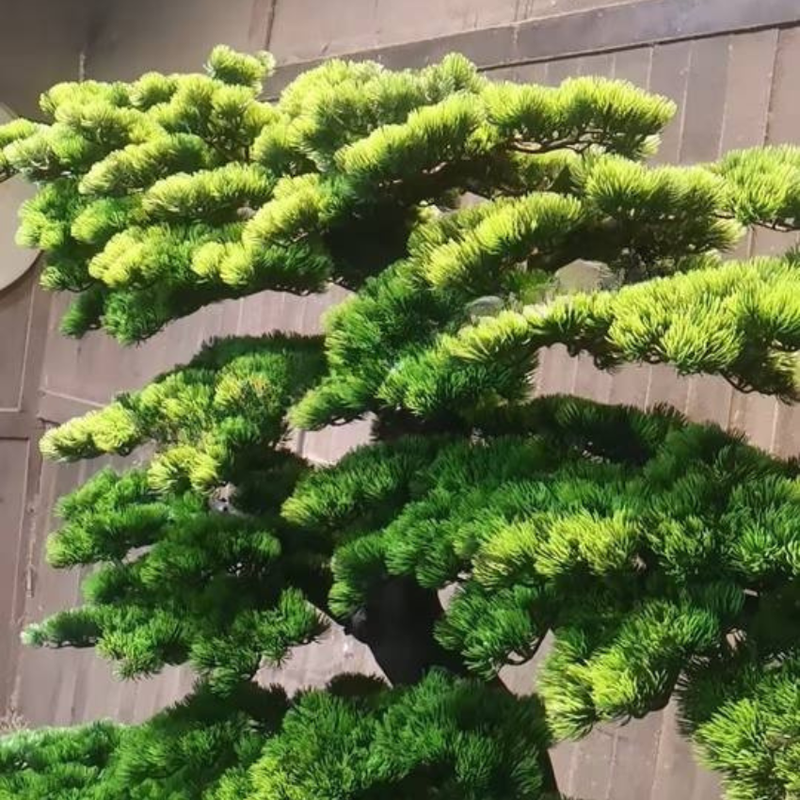 Artificial Cedar Bonsai Pine Tree 6.5FT Indoor Outdoor