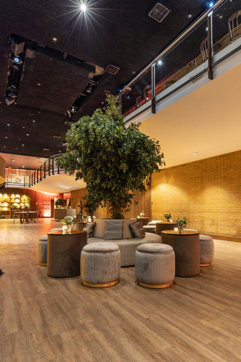 Large artificial ficus tree in a modern café, restaurant, or commercial interior