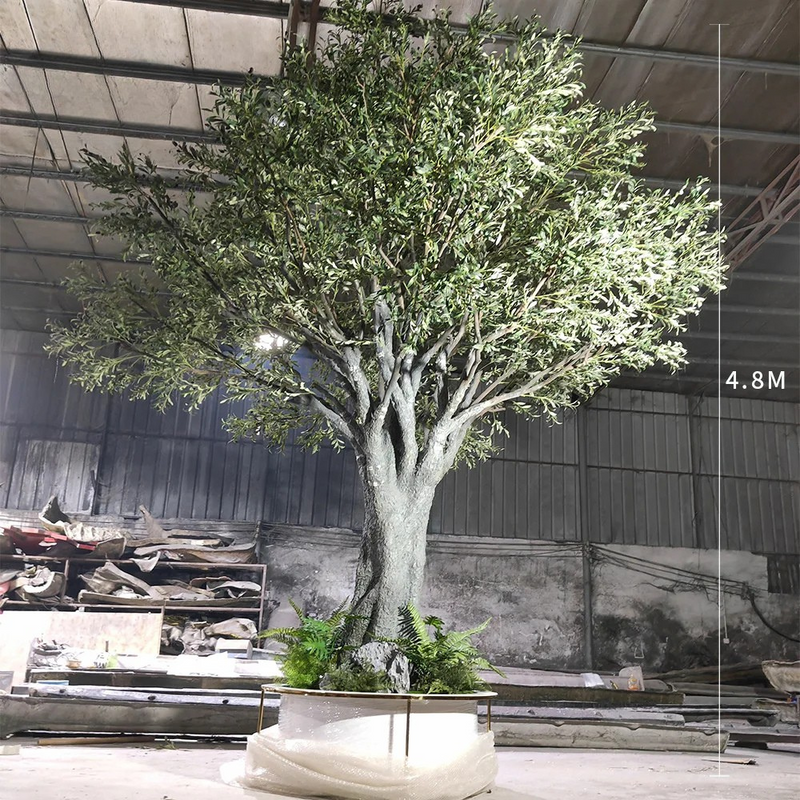 Artificial Olive Tree 4.8m White Planter Indoor Use