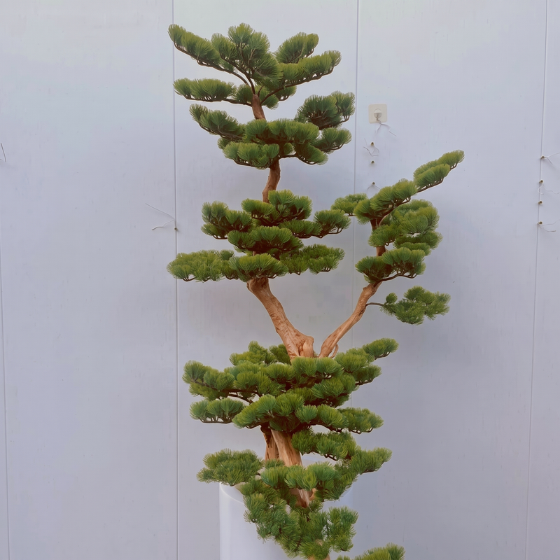 Tall Artificial Cedar Pine Bonsai Tree Green 220cm