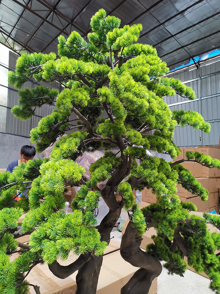 Artificial Podocarpus Pine Tree for Indoor Decoration