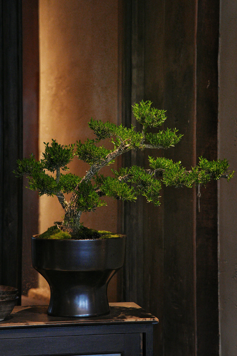 Sculptural artificial bonsai tree in a premium or minimalist interior