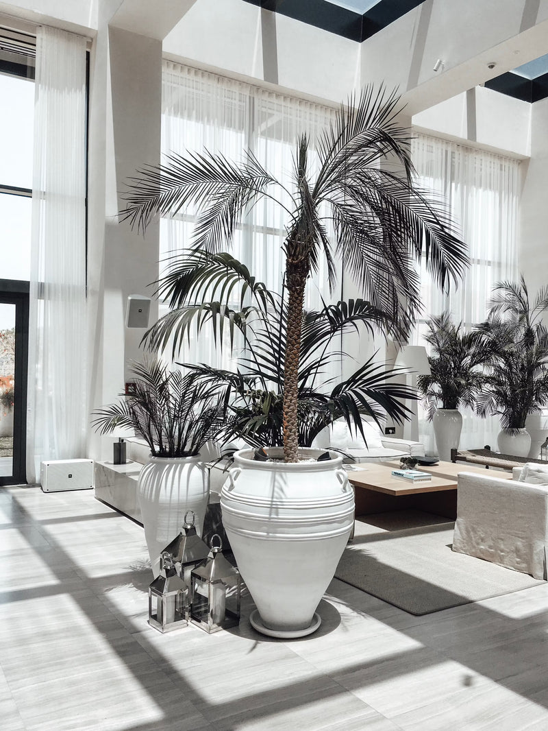 Tall artificial palm tree in a restaurant, bar, lounge, or hospitality interior