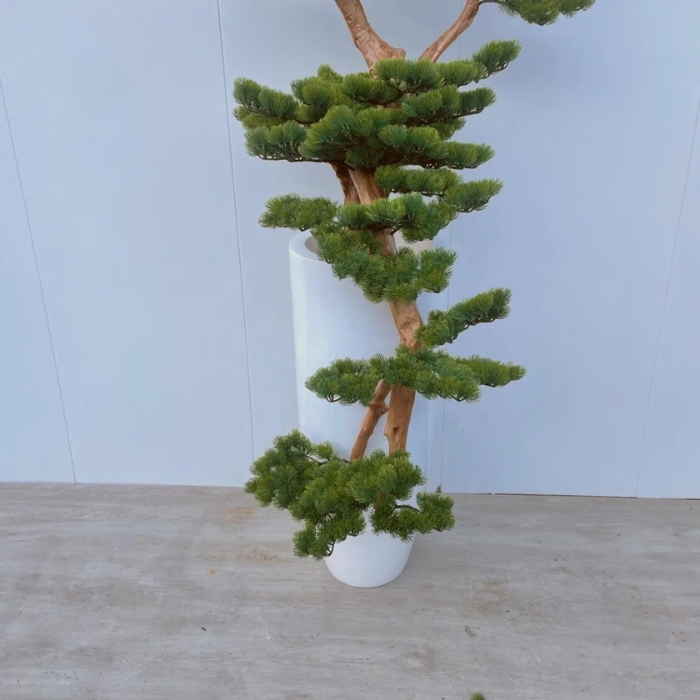 Artificial Podocarpus Bonsai Tree Lifelike Trunk Indoor Display