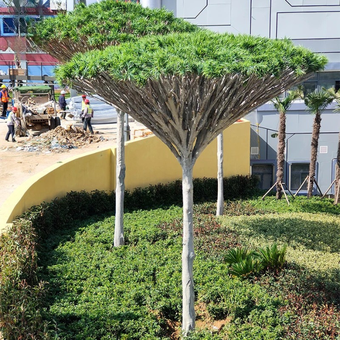 Artificial Dracaena Fragrans Tree Fiberglass Trunk Outdoor Ready