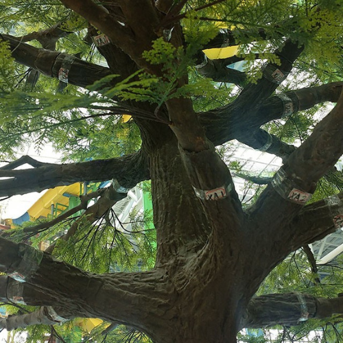 Outdoor Decorative Metasequoia Tree for Landscaping