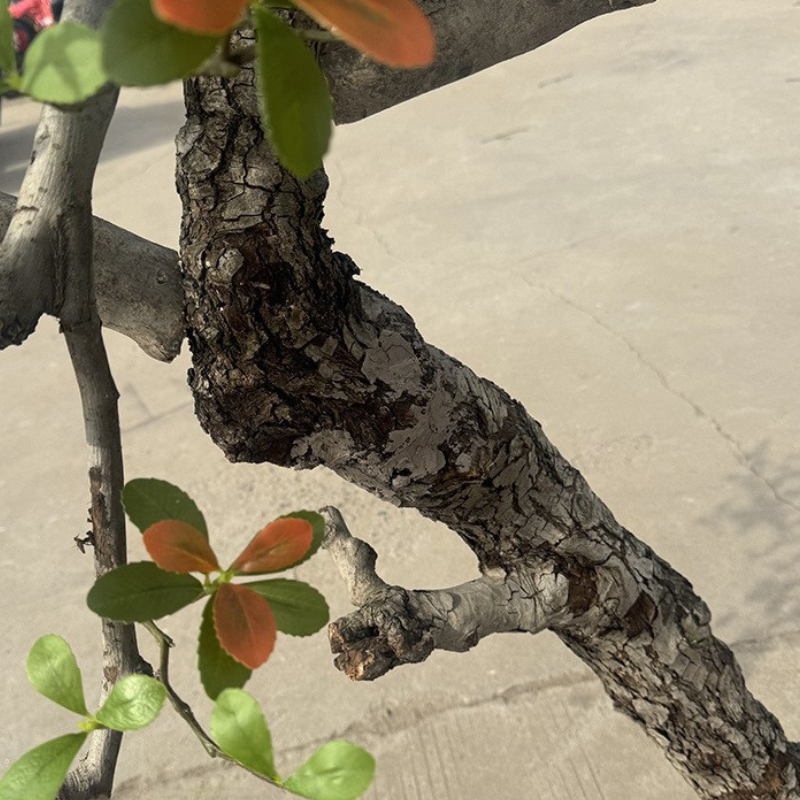 Artificial Large Spring Flower Green Plant