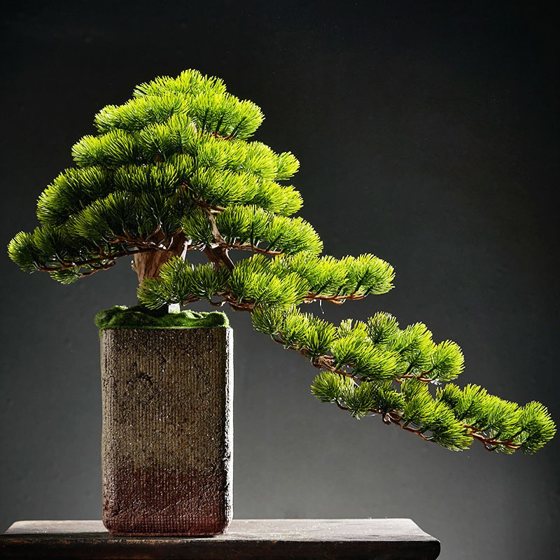 Artificial Pine Bonsai for Home Decor