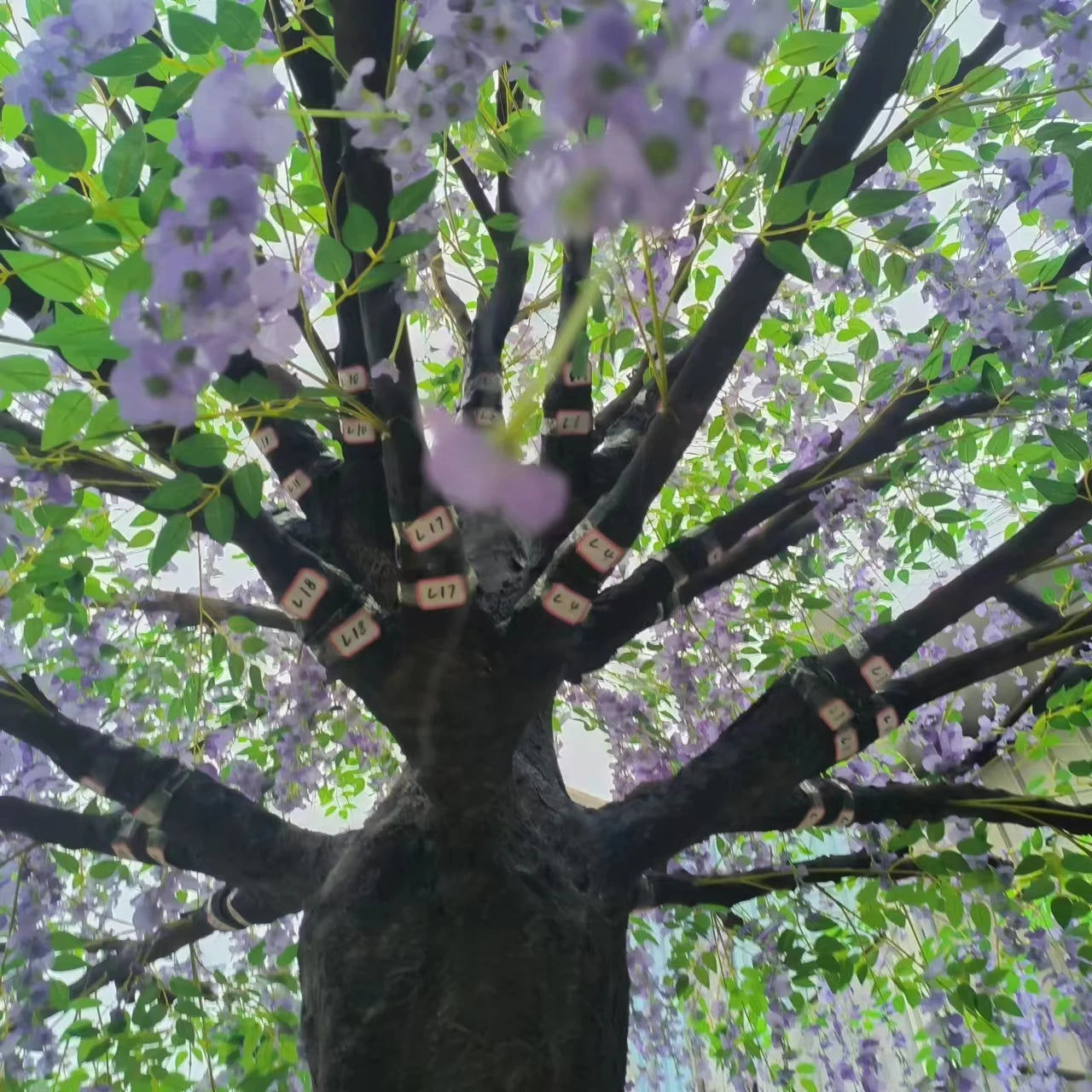 Artificial Wisteria Flower Tree 3.5m Indoor Display