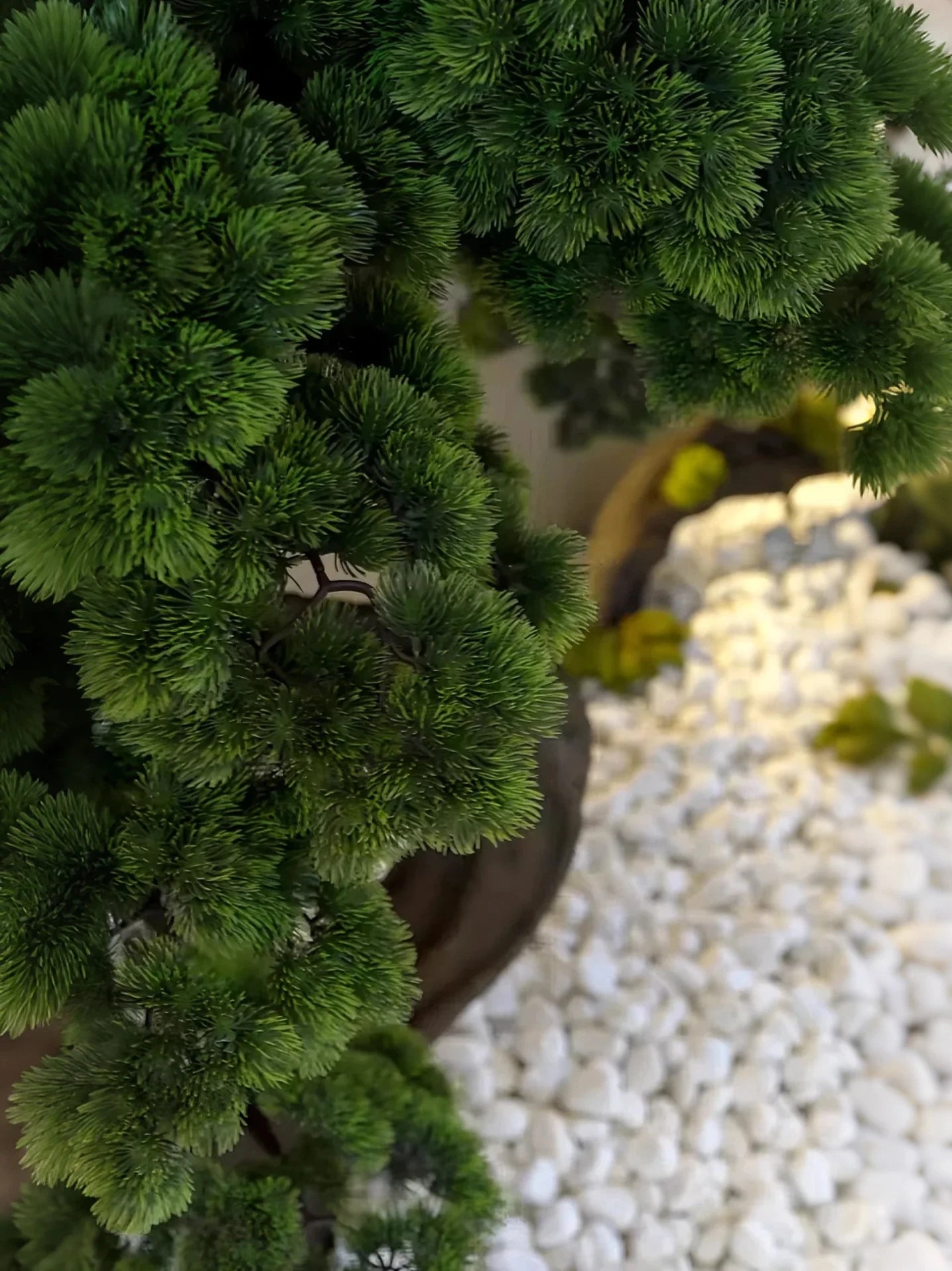 Lifelike Artificial Pine Tree Bonsai Indoor Decor 6 FT