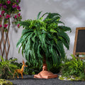 Artificial Boston Fern PE Shrubs for Outdoor Balcony Decor