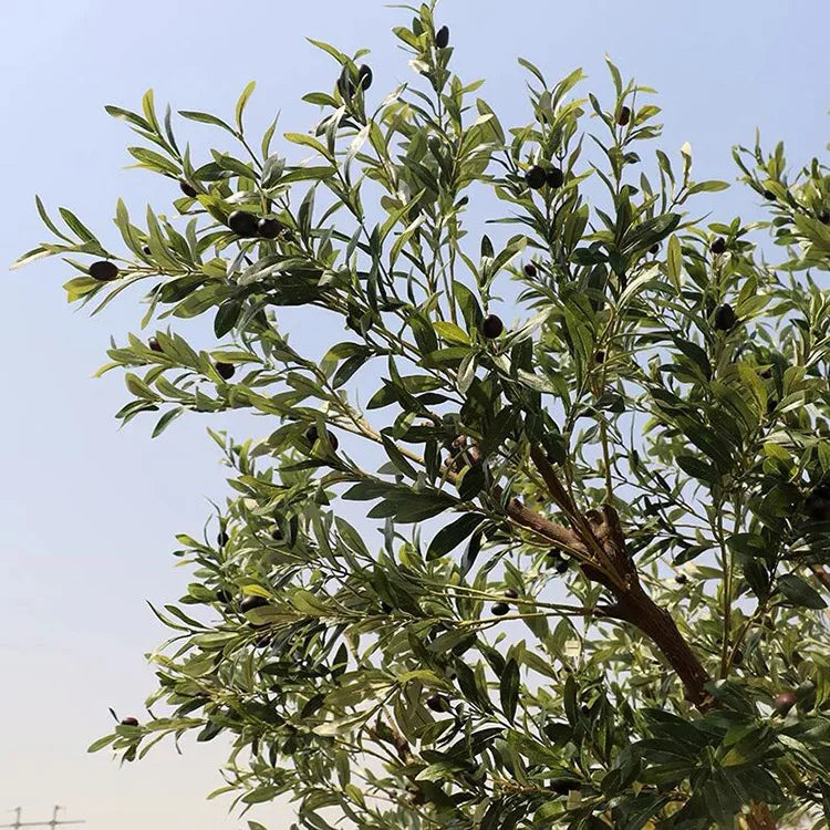 Artificial Black Olive Tree 2.13 M Handmade Indoor Accent