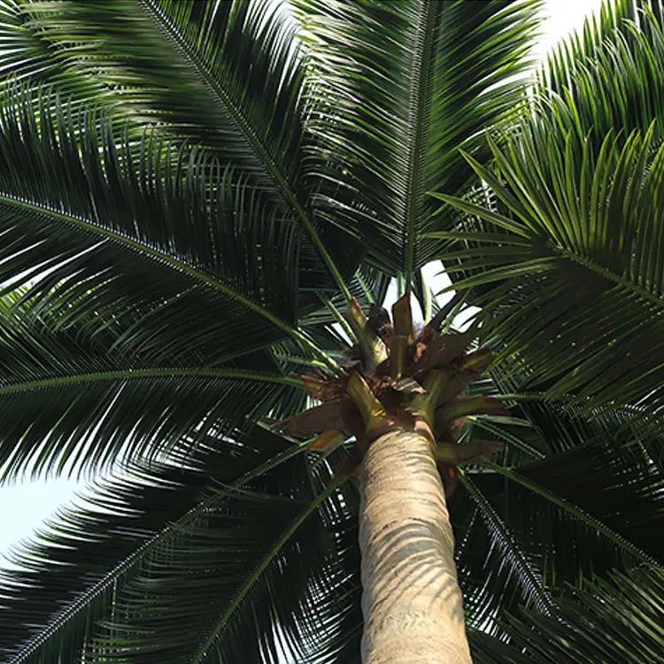 Artificial Coconut Tree 7ft Anti-UV Outdoor Use
