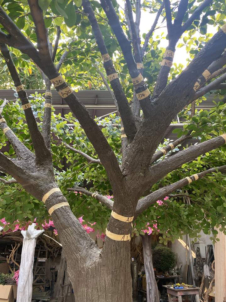 Artificial Clusia Tree Fiberglass Trunk for Hotels Restaurants 