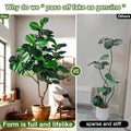 Signature Artificial Fiddle Leaf Fig Tree Indoor 6–8FT