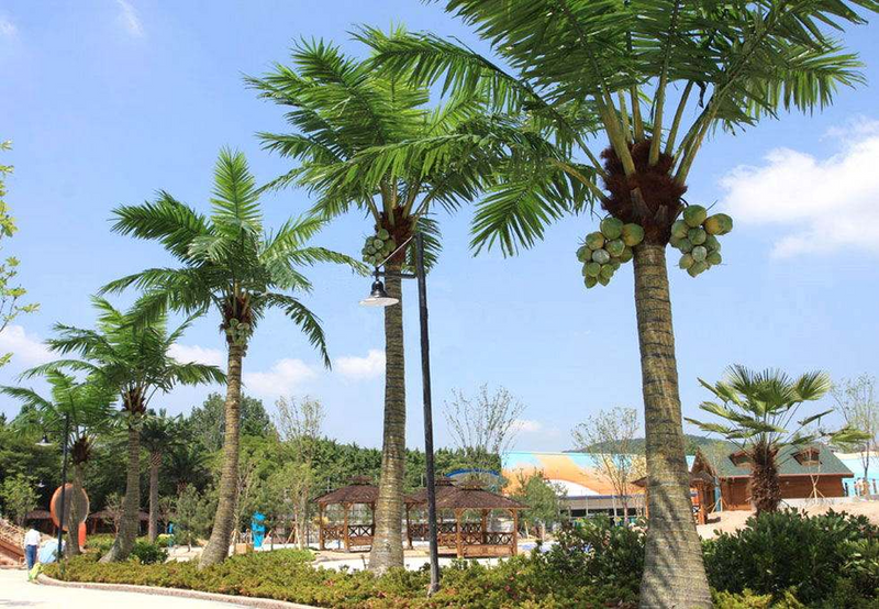 Artificial Coconut Palm Tree for Outdoor Commercial Landscaping