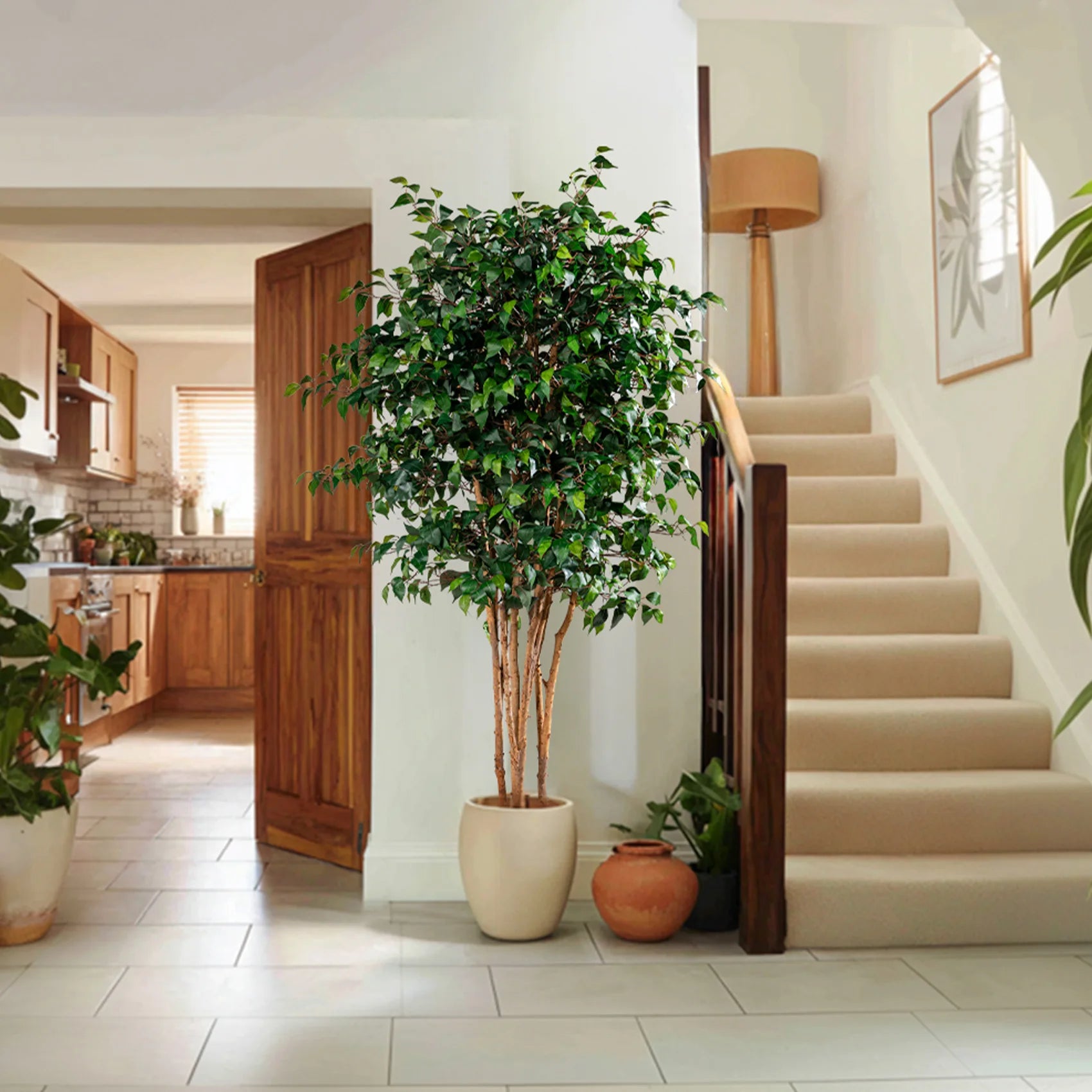 Artificial Fig Tree Natural Wood Trunk Indoor Display