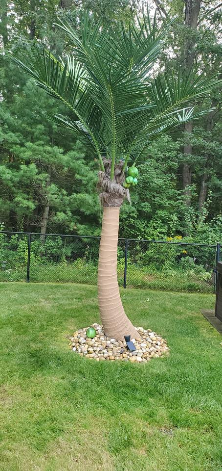 Artificial Coconut Palm Tree Outdoor Indoor for Commercial