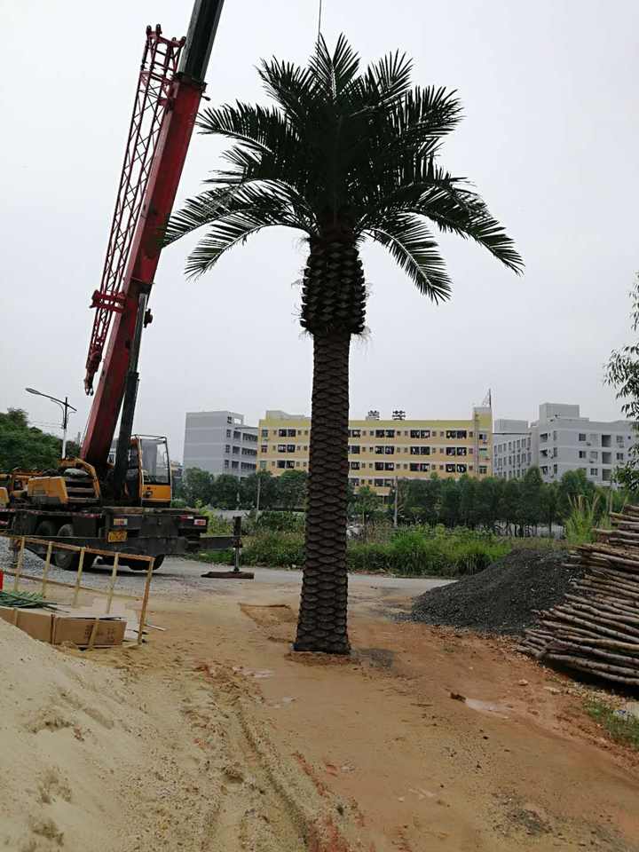 Tall Artificial Date Palm Tree for Commercial Interiors