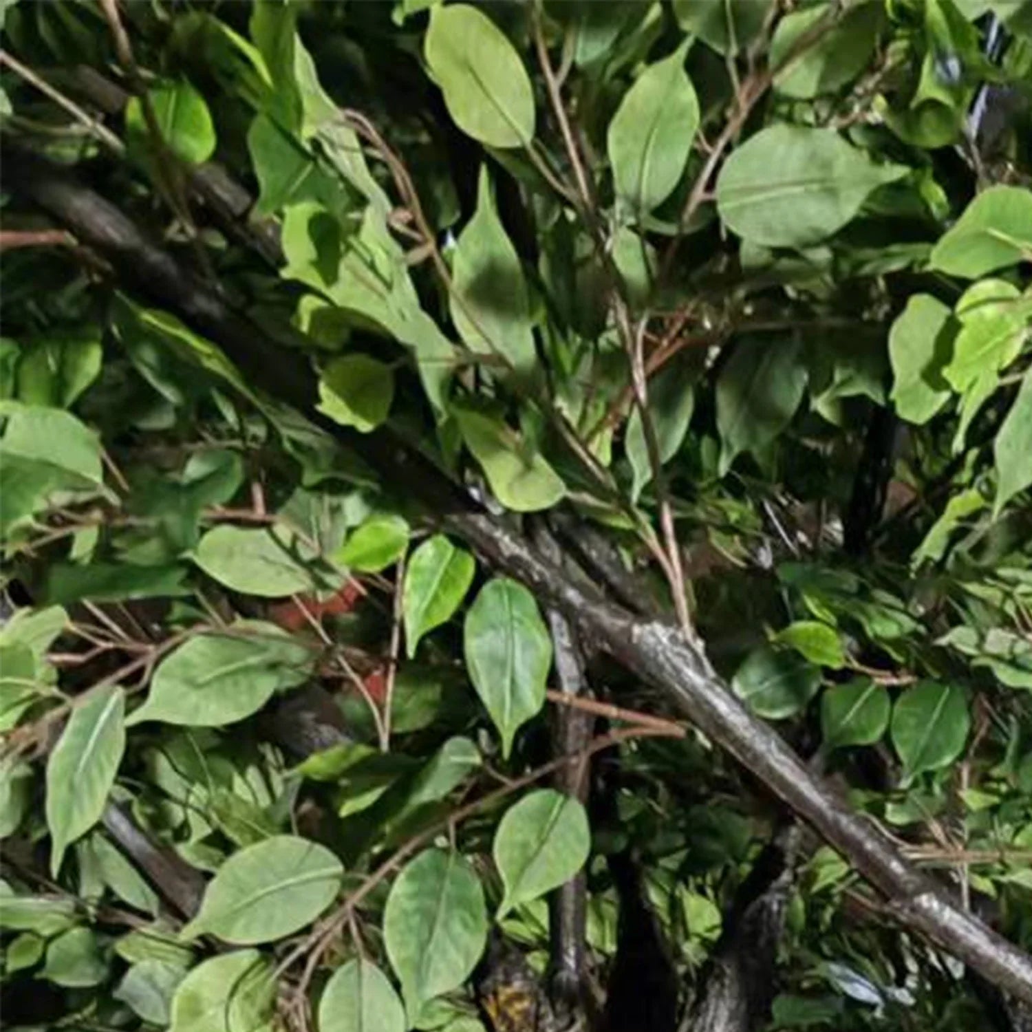 Large Outdoor Fake Green Ficus Banyan Tree 13 FT
