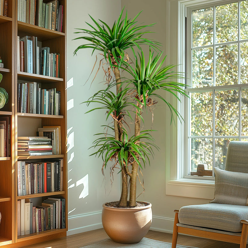 Artificial Dracaena Marginata Large Indoor Outdoor Decor