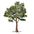 Large Artificial Acacia Tree Fiberglass 11.5 FT UV Resistant