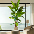 Signature Artificial Banana Tree PE Plastic Statement