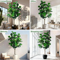Signature Artificial Fiddle Leaf Fig Tree Indoor 6–8FT