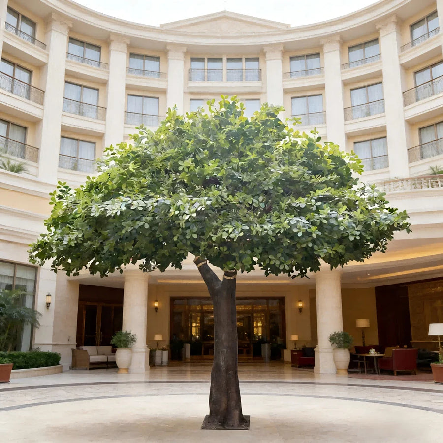 Artificial Clusia Tree Fiberglass Trunk for Hotels Restaurants 