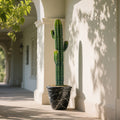 Signature Artificial Tropical Cactus Plant PU 5.4FT