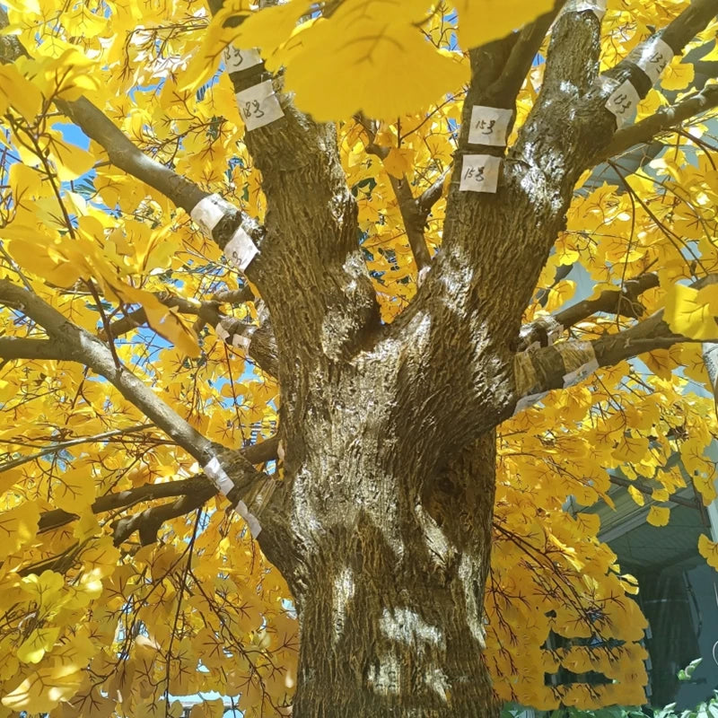 Artificial Ginkgo Tree Natural Wood Trunk Indoor Display