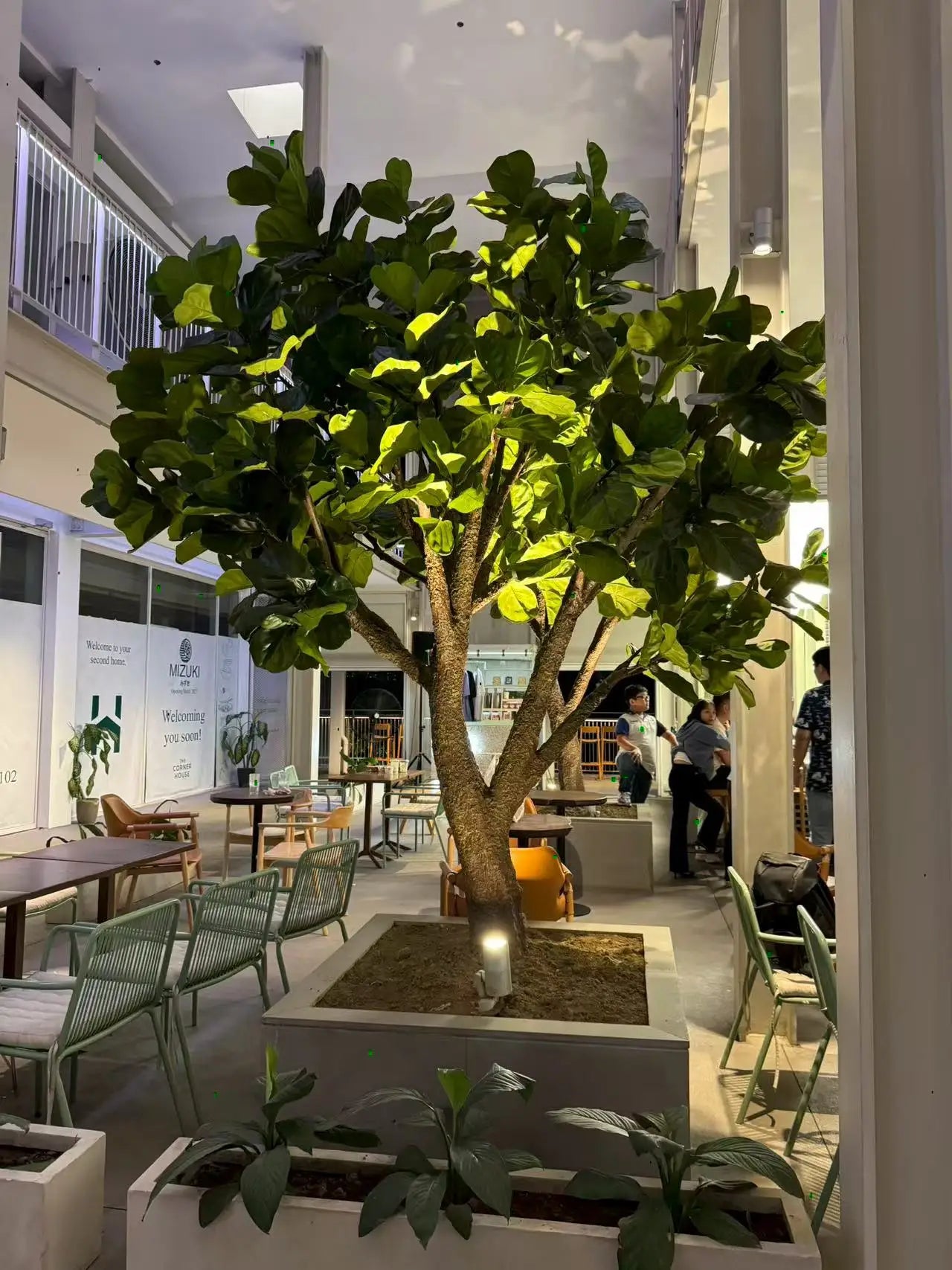 Artificial Fiddle Leaf Fig Tree 13 FT Indoor Display