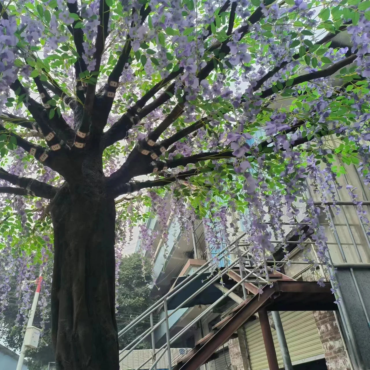 Artificial Wisteria Flower Tree 3.5m Indoor Display