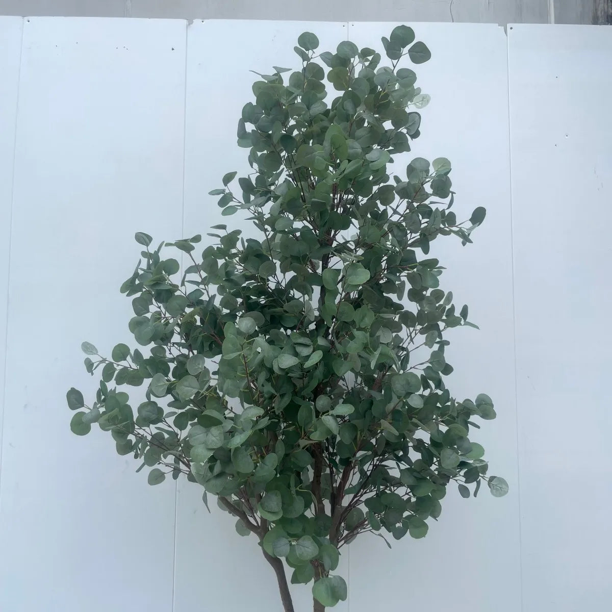 Tall Artificial Eucalyptus Tree Bonsai Faux Silver Dollar 8.9 FT