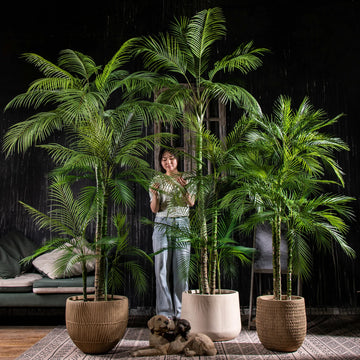 Artificial Areca Palm Tree 7ft Eco-Friendly Indoor Use