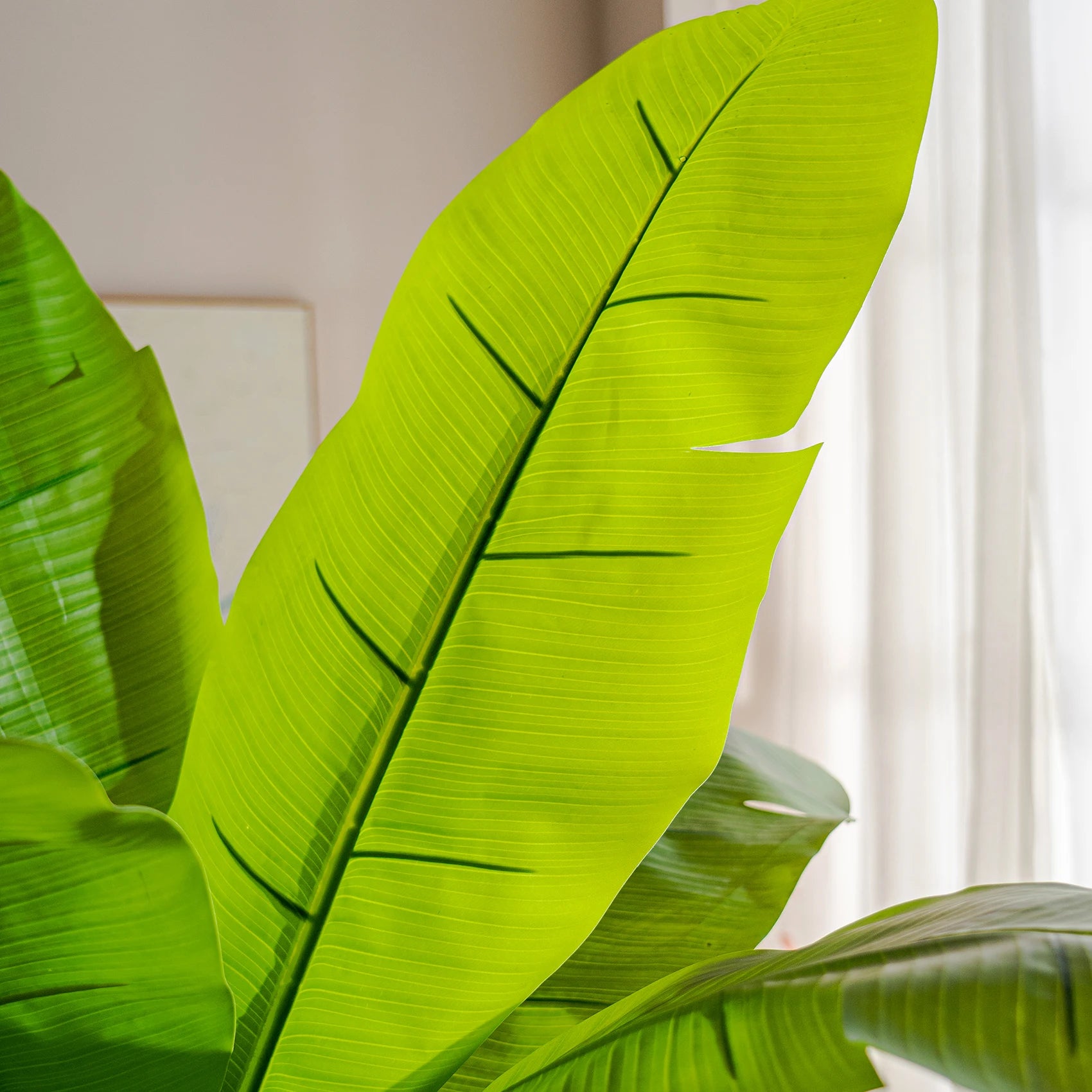 Signature Artificial Banana Tree PE Plastic Statement