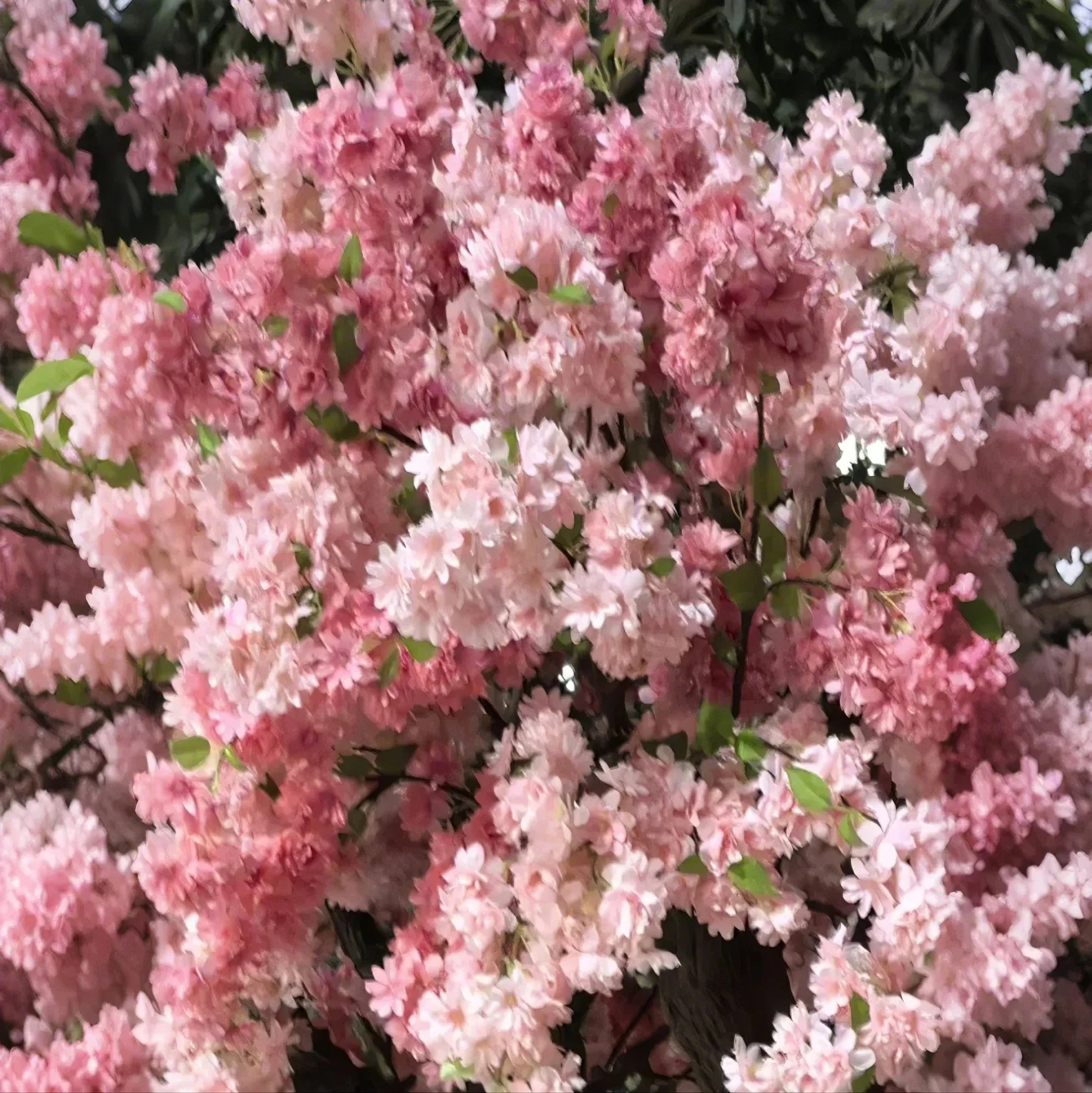 Artificial Cherry Blossom Tree 5ft Indoor Display