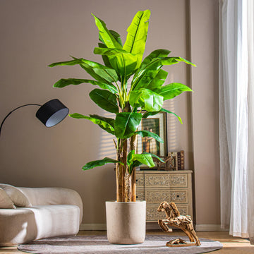 Signature Artificial Banana Tree PE Plastic Statement