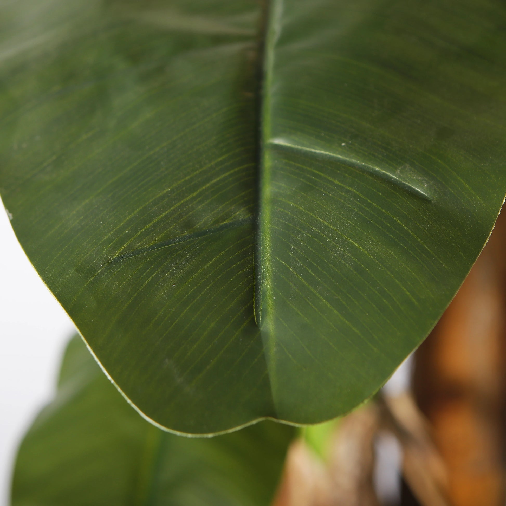 Signature 11.8FT Artificial Banana Tree With Banana Leaves
